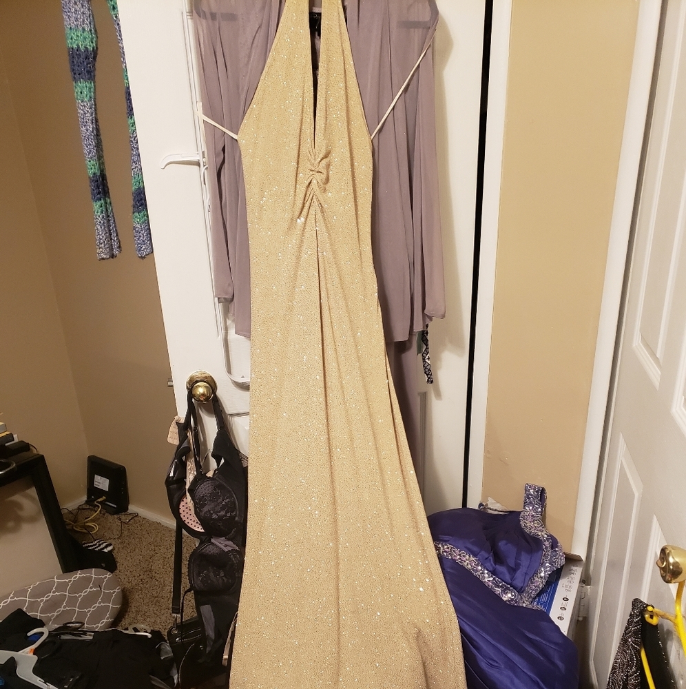 Glitter gold gown